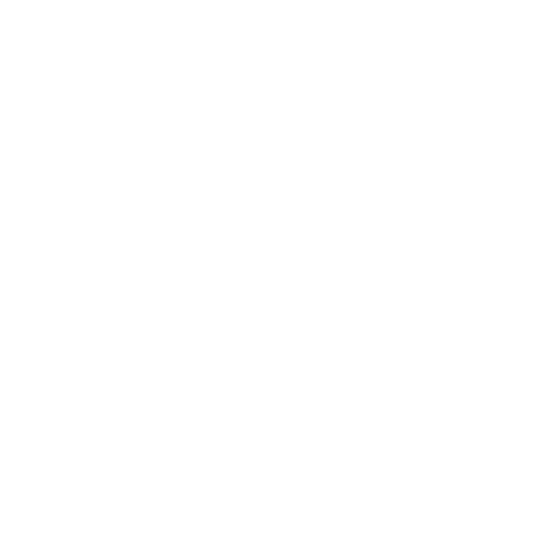 web development company